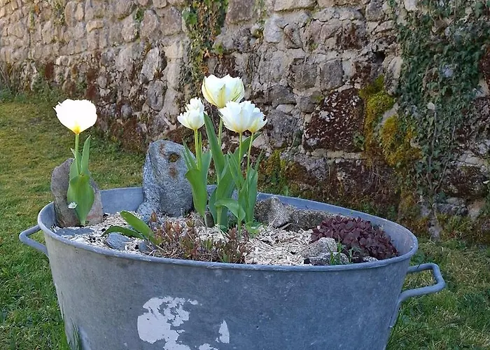 Maison La Taissotine Holiday home Leucamp